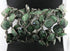 Ruby Zoisite Faceted Cushion Bezel Chain, (BC-RZT-81)